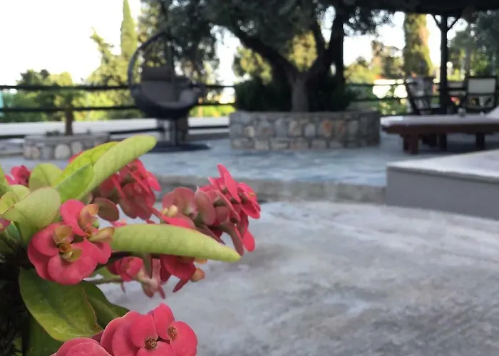 بيت ضيافة Fiore Di Flora