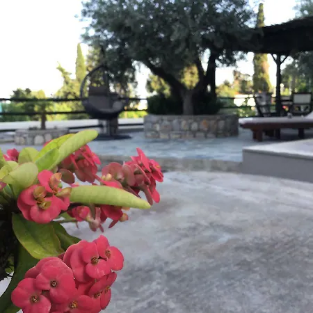 בית הארחה Fiore Di Flora